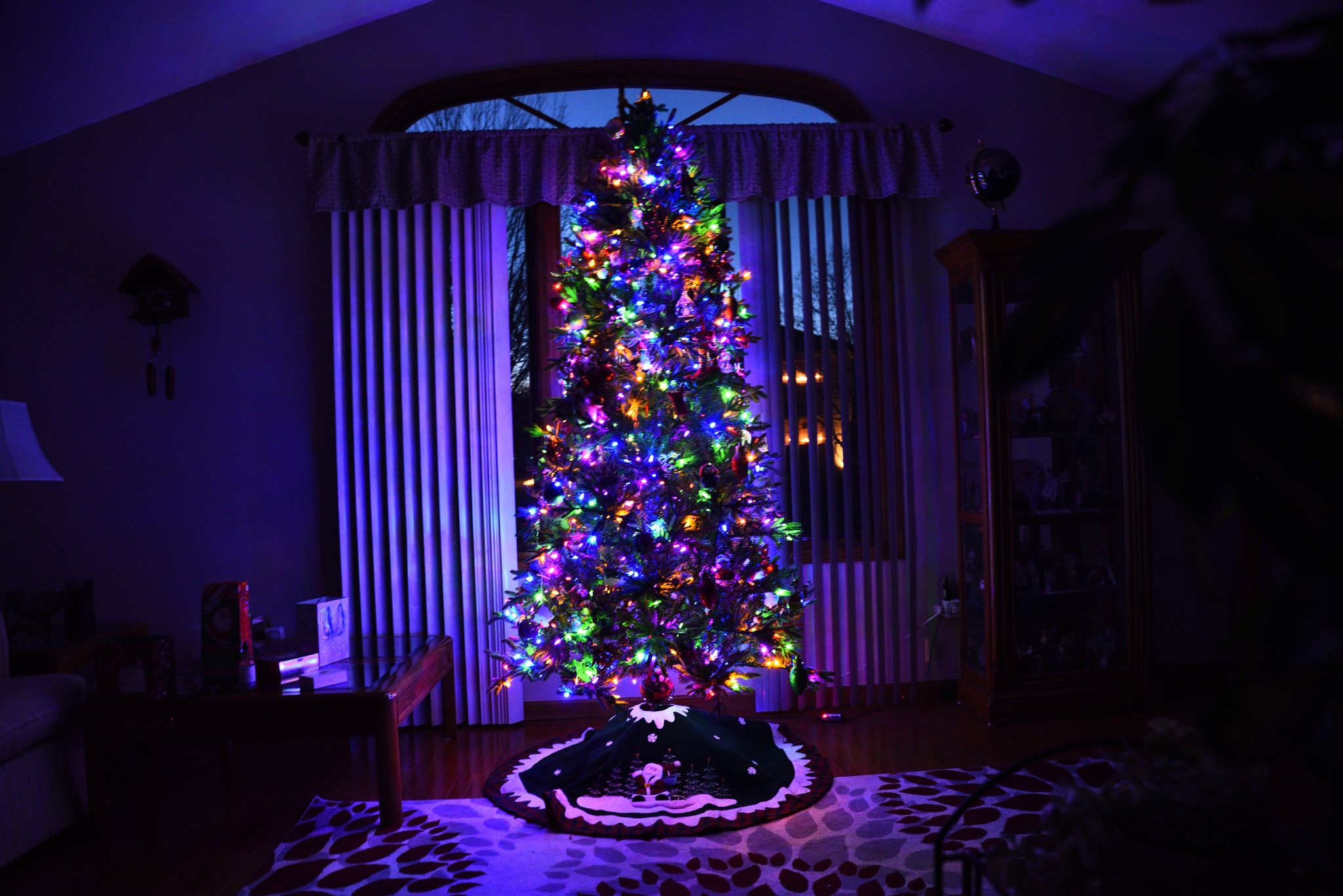 Annual Christmas Picture