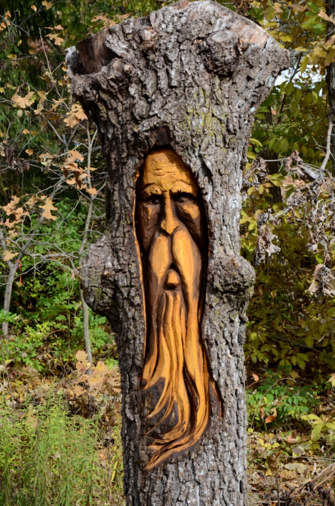 Tree carvings