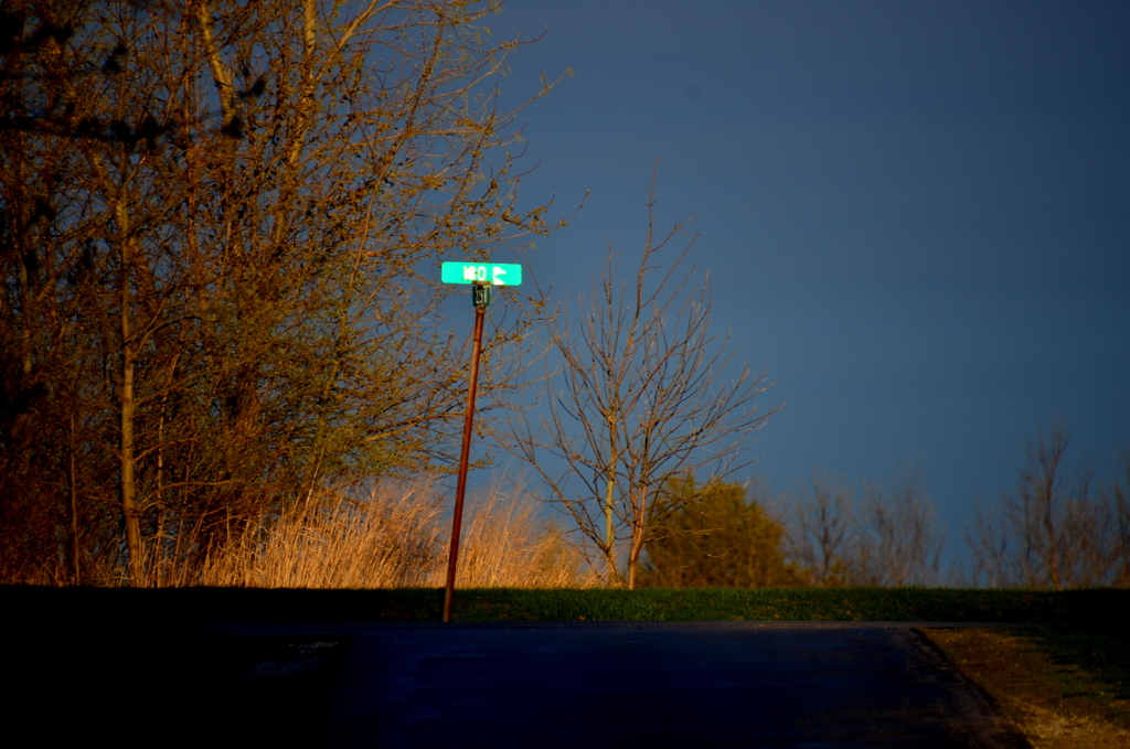 Looking East on Ocala Dr
