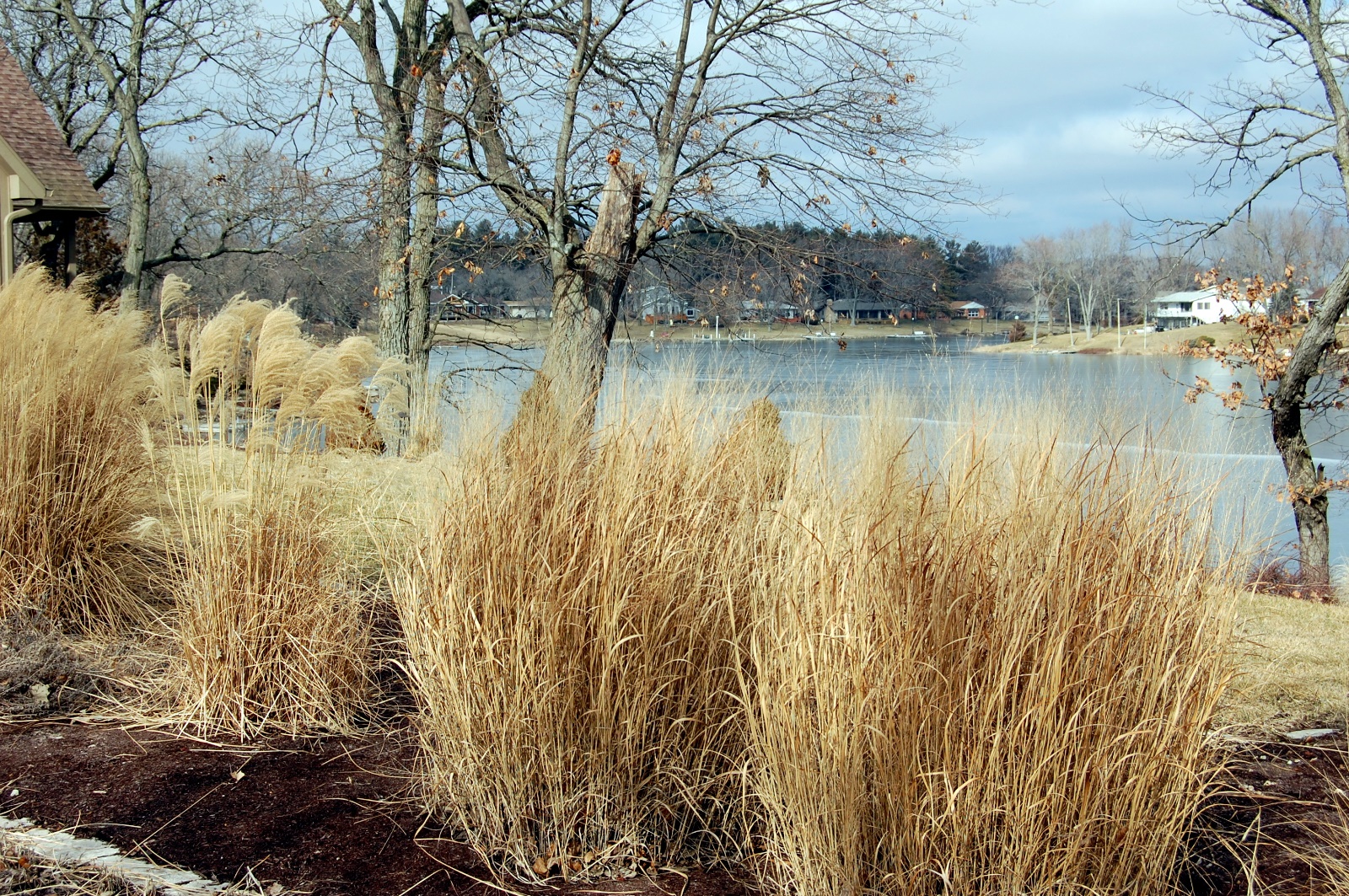 View from across the lake
