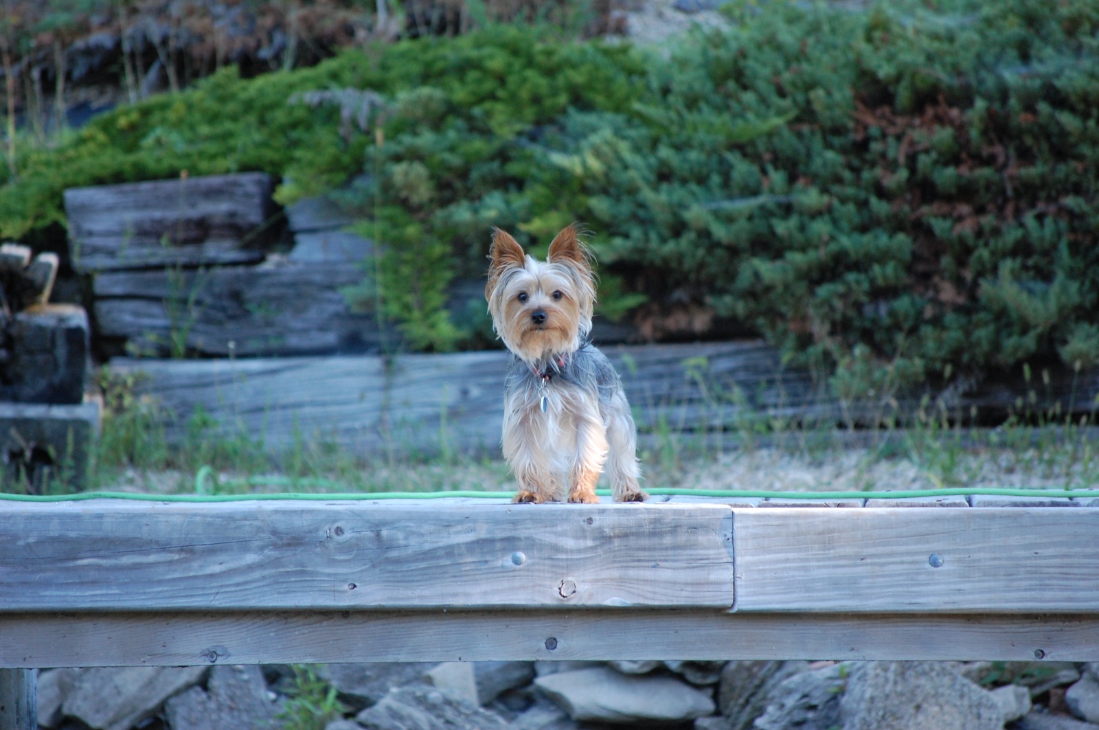 Feb 16 2005 – Feb 8 2018