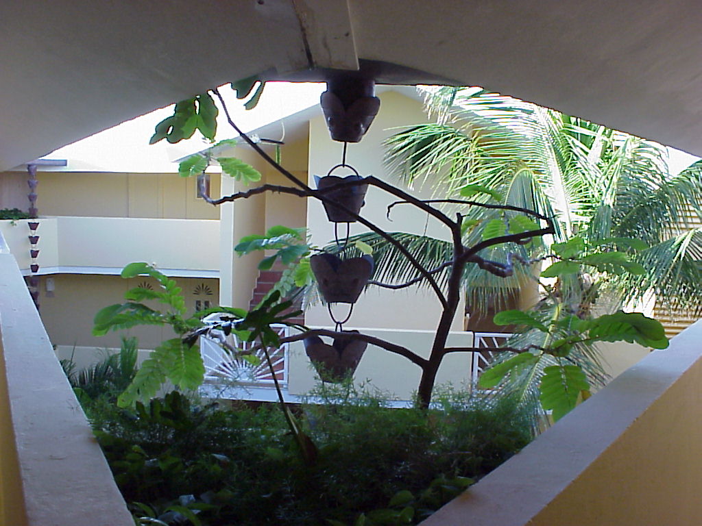 Dominican Republic Secrets 2003