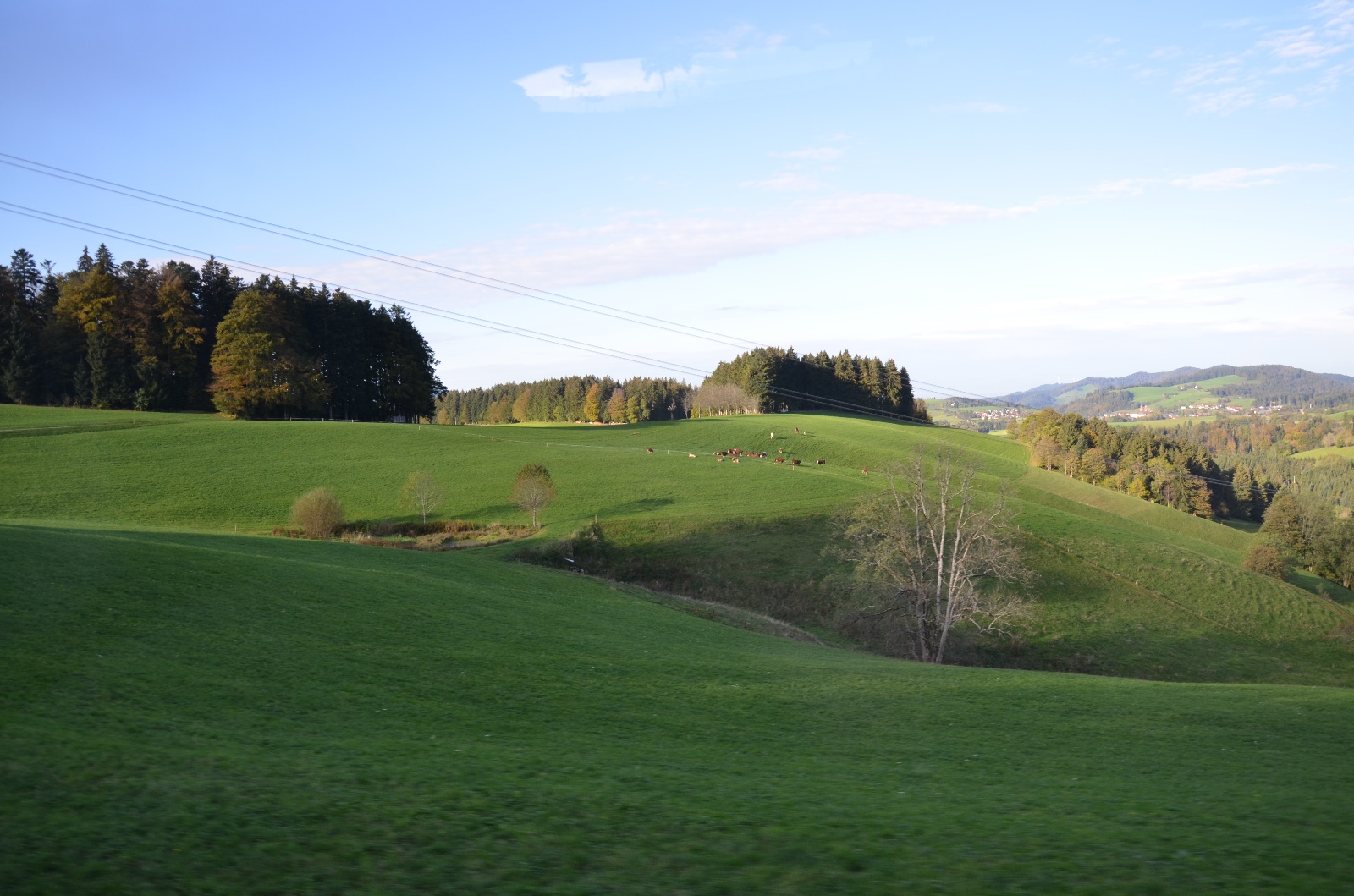 Breisach & Black Forest Germany