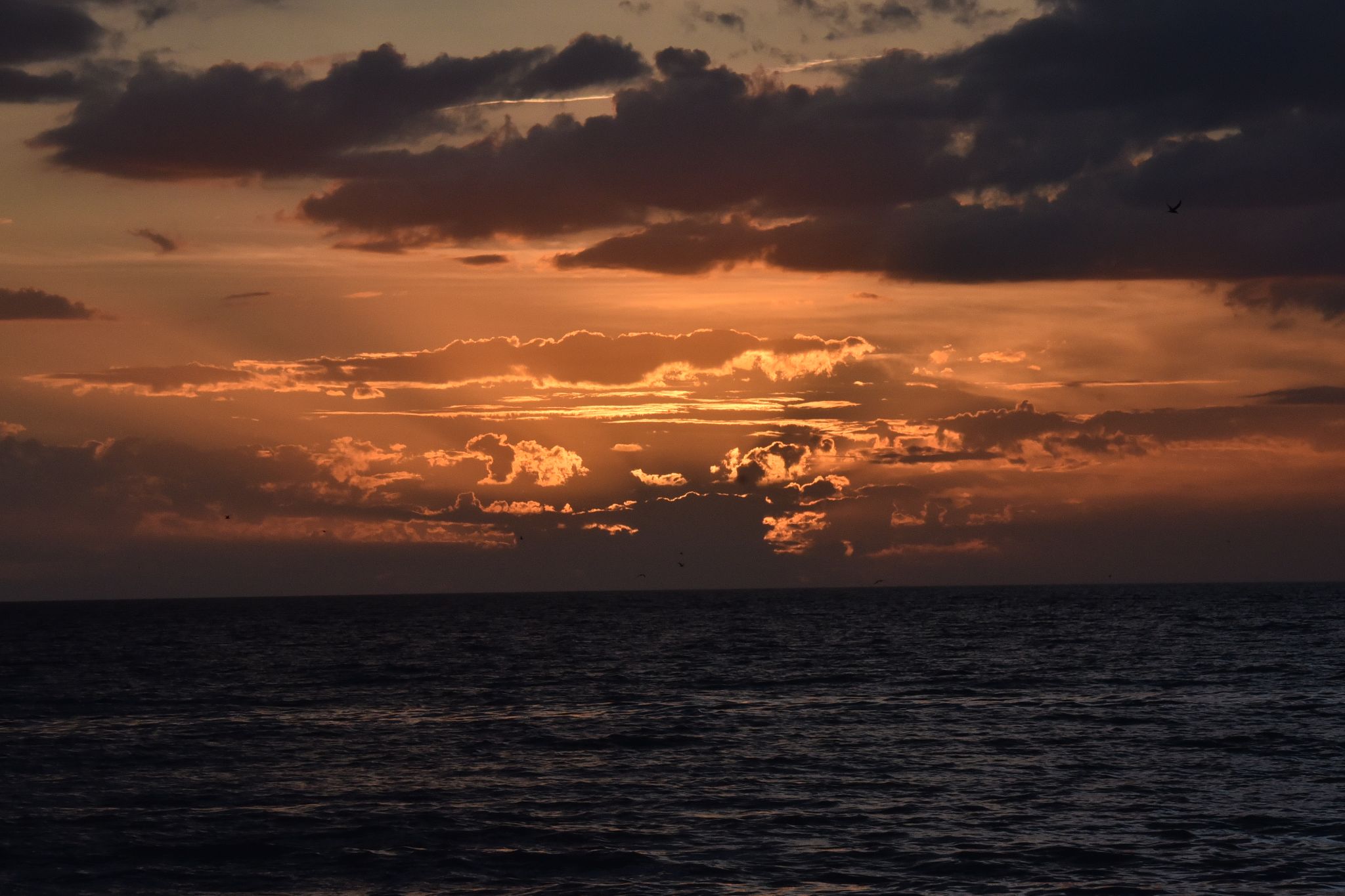 Sunset on Siesta Keys