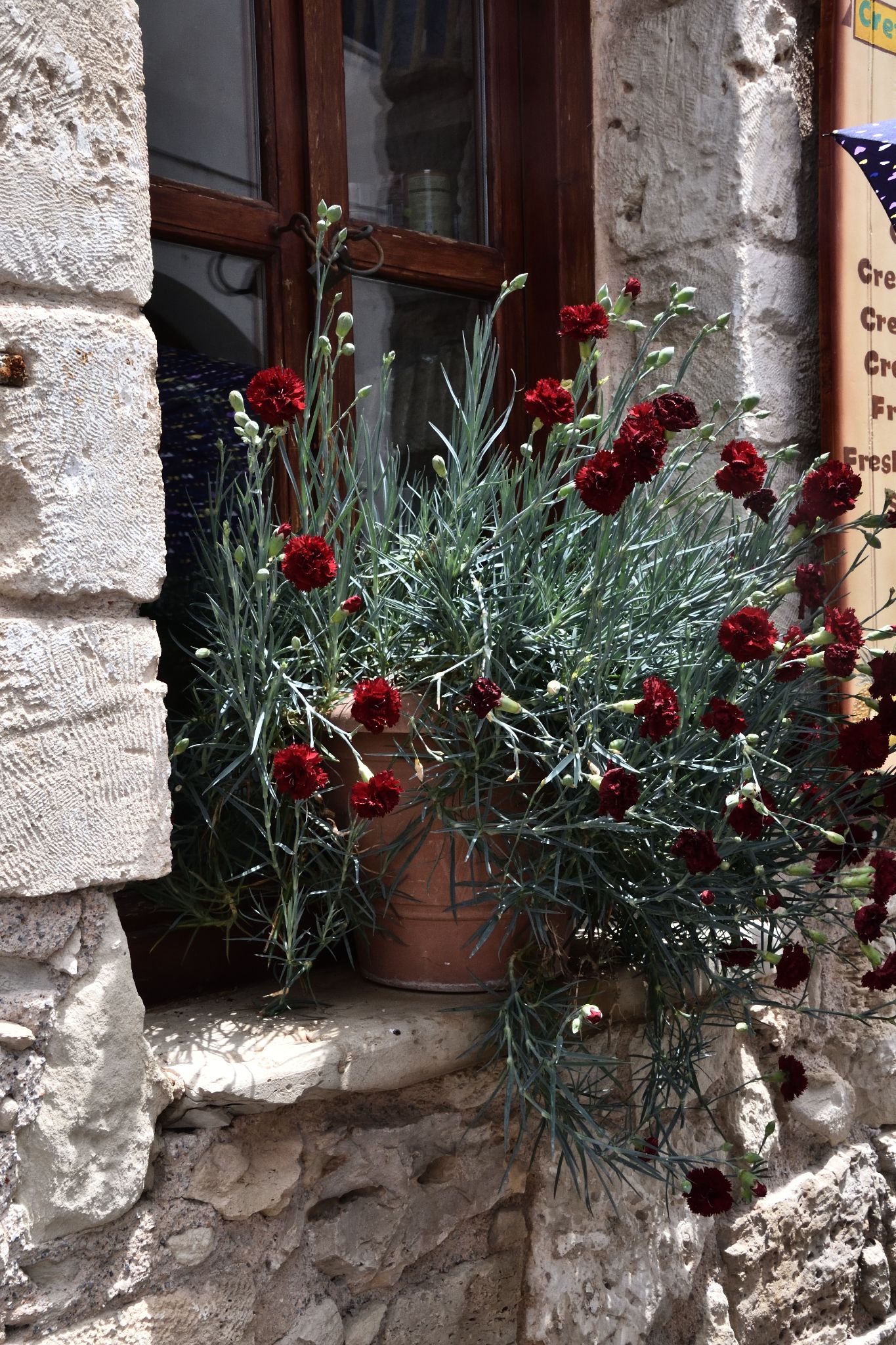 Chania, Crete, Greece - Day 11