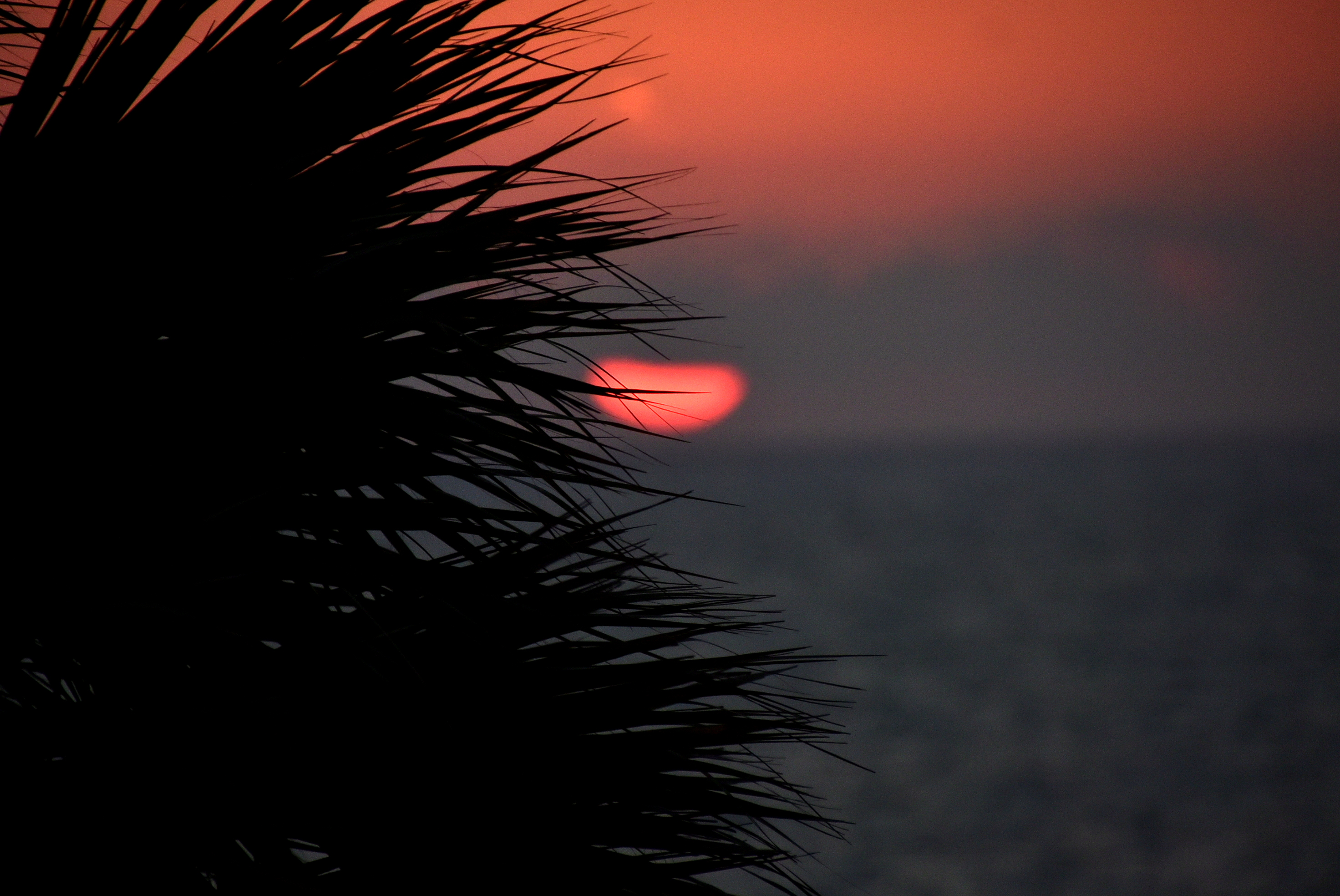 Sunset on Siesta Keys